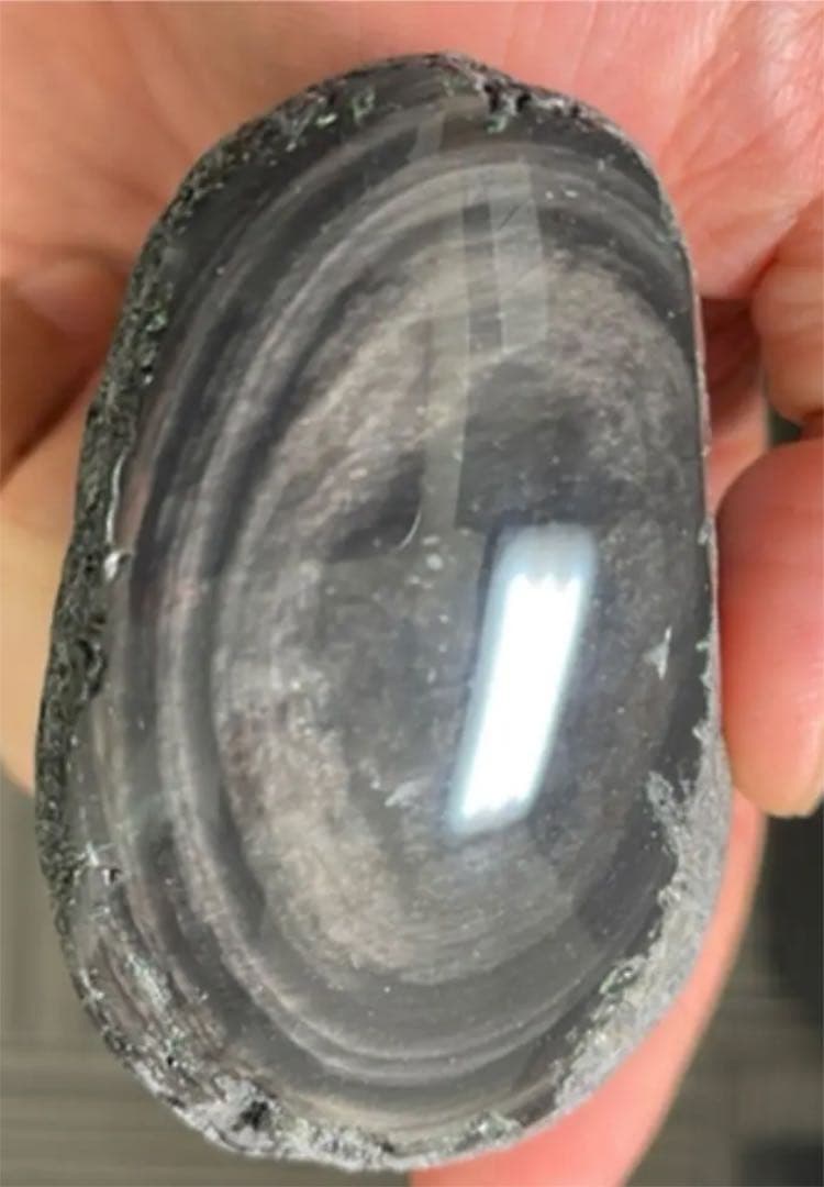 研磨済　十勝石玲瓏　マホガニーオブシディアン　シルバー系ゴールドシラー