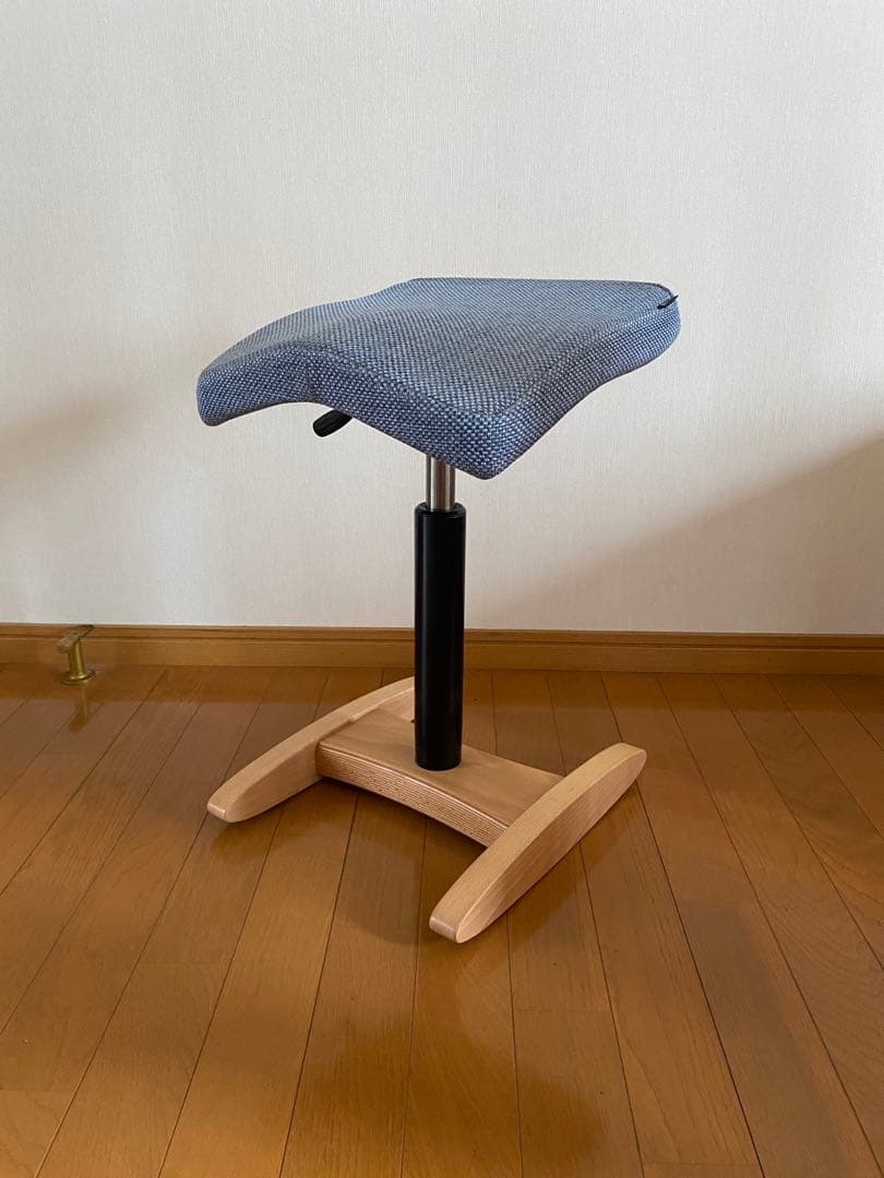 【カバー付き】バランスシナジー