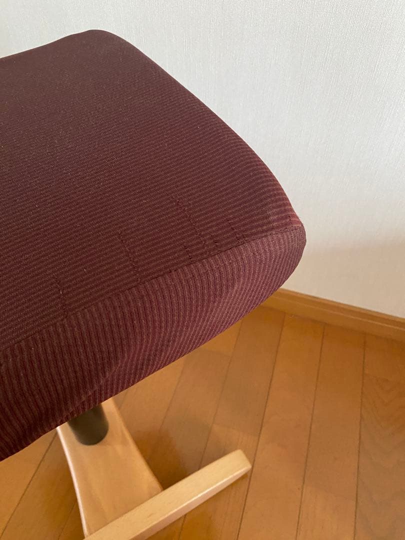 【カバー付き】バランスシナジー