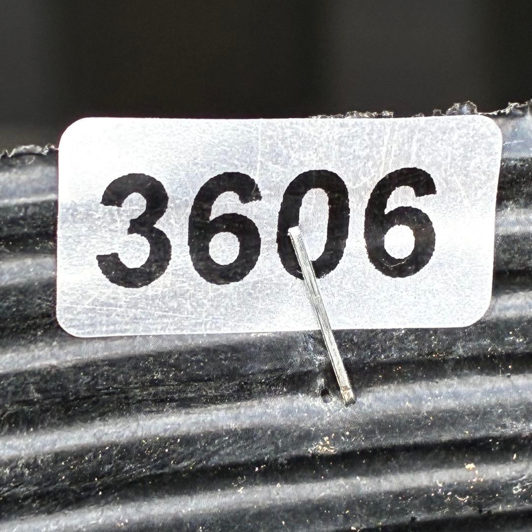 3606☘️花付き☘️⭐️ムルチ交配⭐️個性的⭐️くっきりダークピコティー⭐️大木