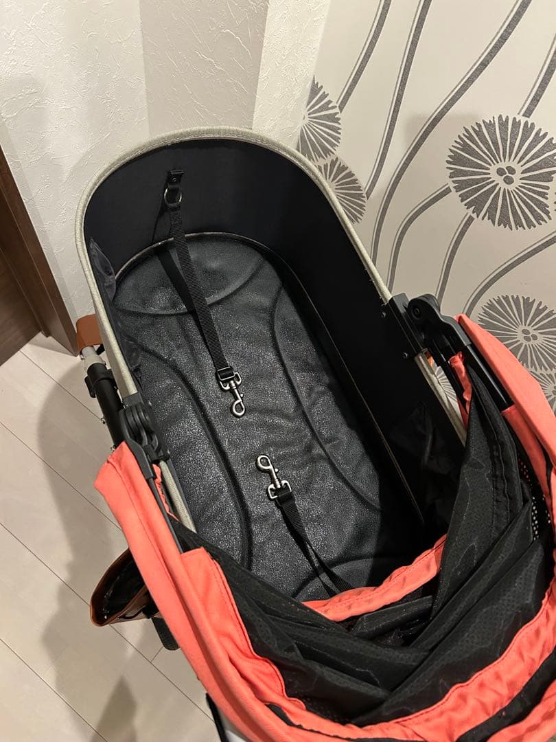 エアバギー ドーム3 ラージサイズ　キャロット数回使用　直接取引出来る方のみ