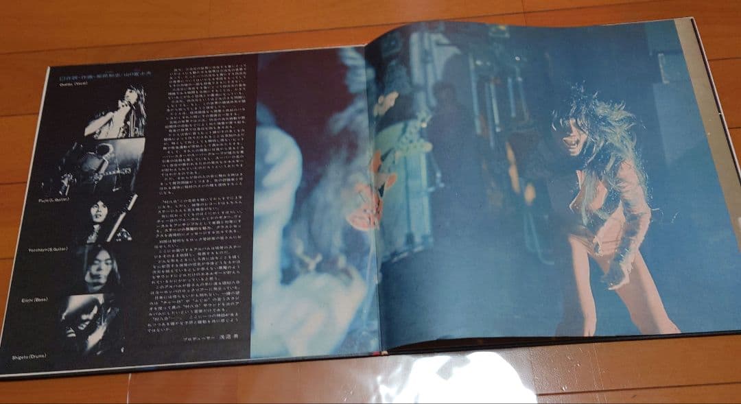 【人気盤】ライブ2枚組 / 村八分 初回オリジナル盤！山口冨士夫！