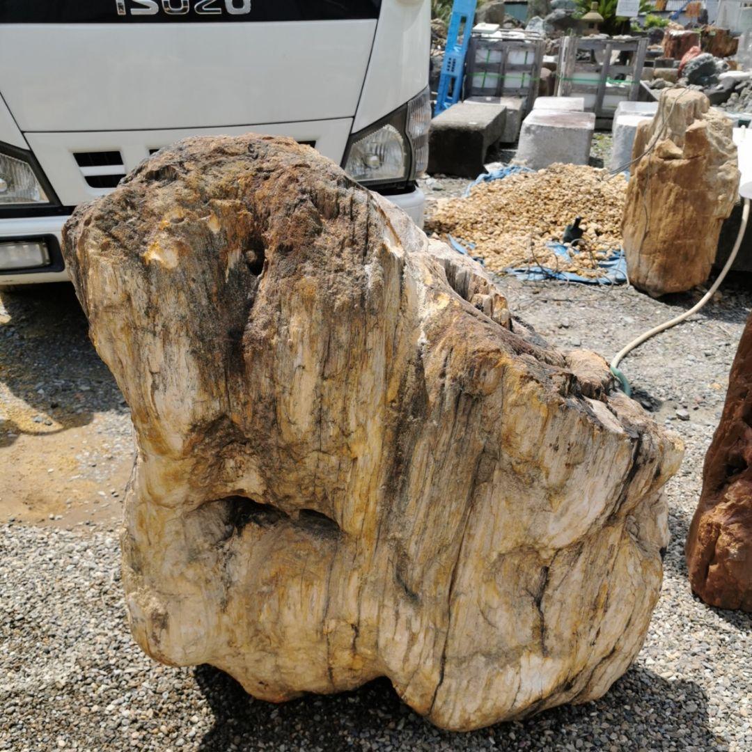 秋田産　珪化木　349キロ　木化石　庭石　石　鑑賞石　置物　オブジェ