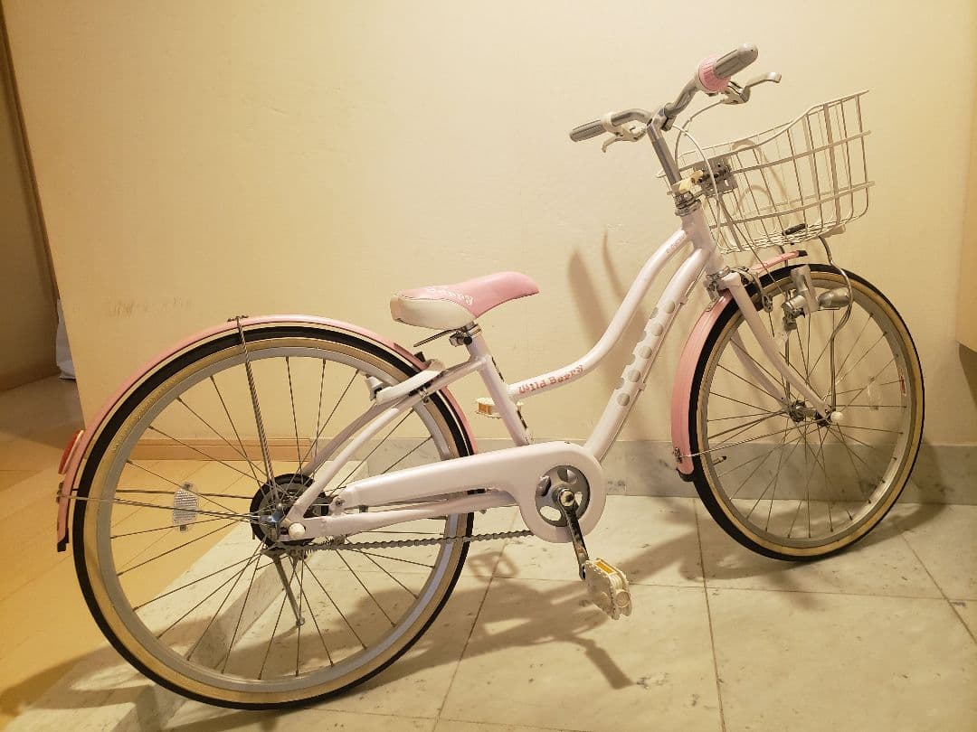 BRIDGESTONE Wild Berry 22\