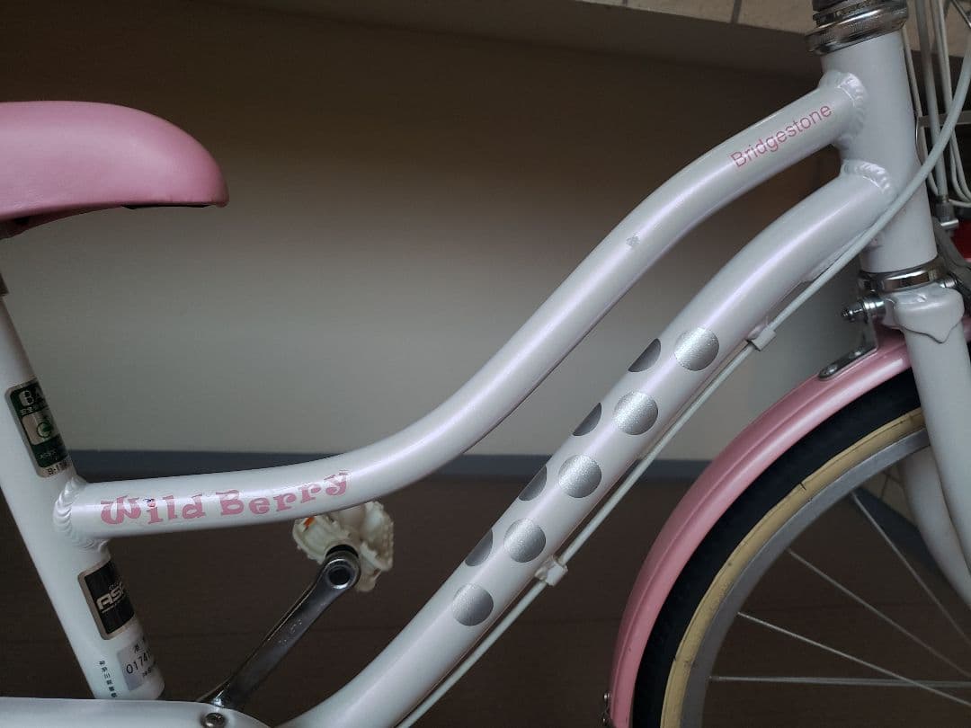 BRIDGESTONE Wild Berry 22\"子供用 【室内保管・直渡し】