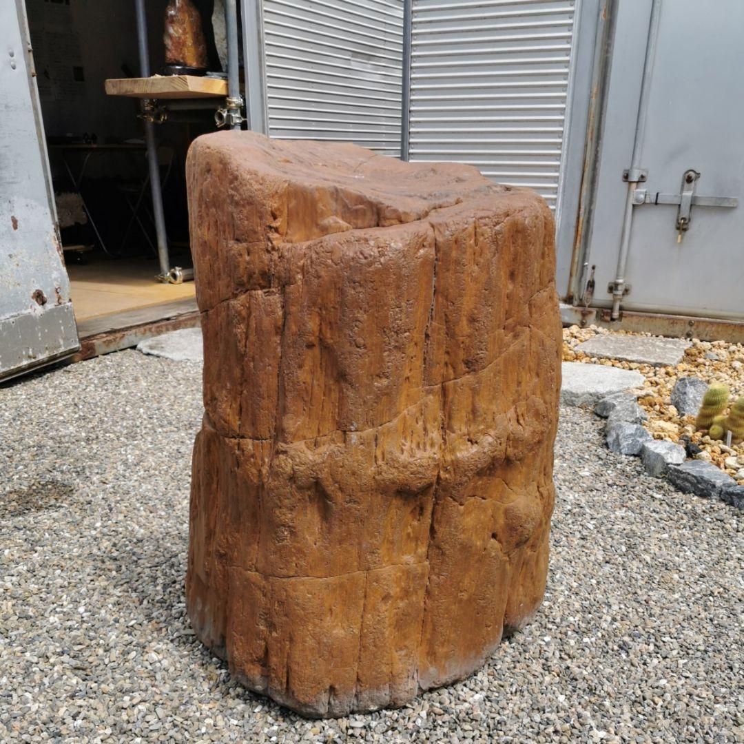 インドネシア産　珪化木　255キロ　木化石　庭石　鑑賞石　石　置物　オブジェ