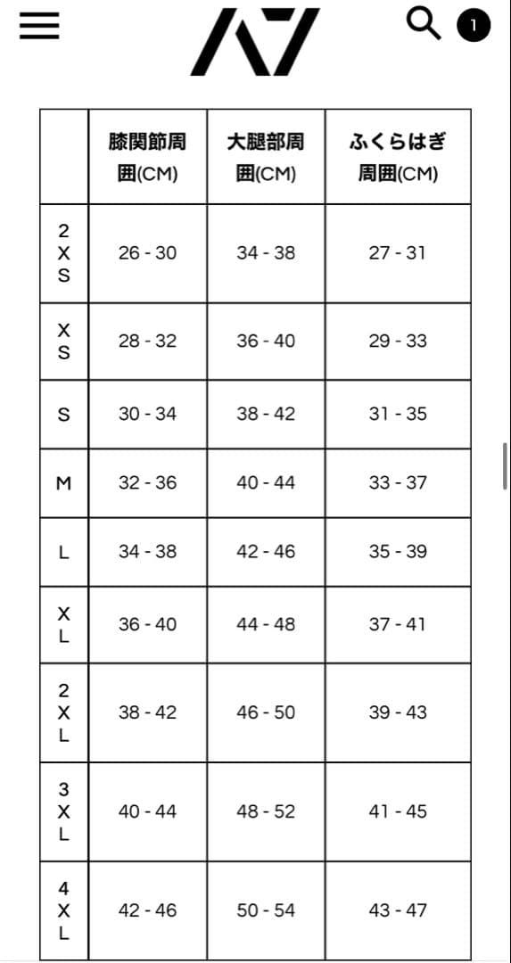 【試着のみ】HOURGLASS ニースリーブ IVORY ROSE 4XL