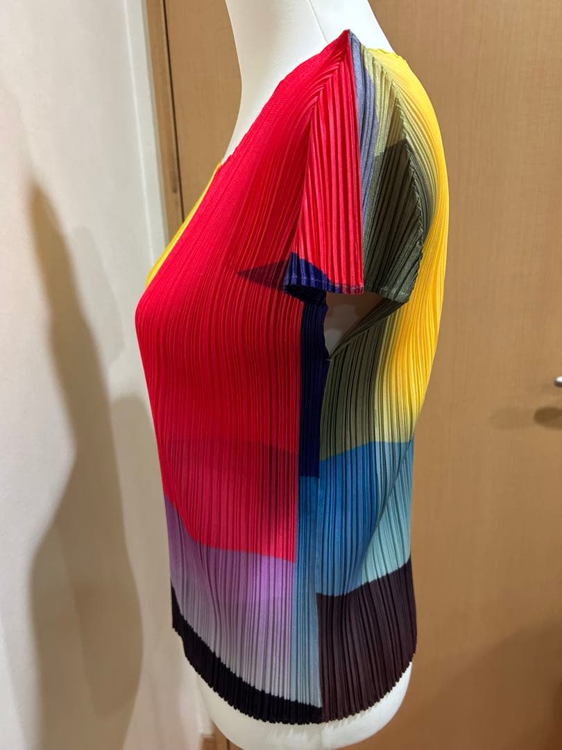 ⭐️本日限定価格⭐️レアなマルチカラープリーツプリーズタグ付き極美品⭐️