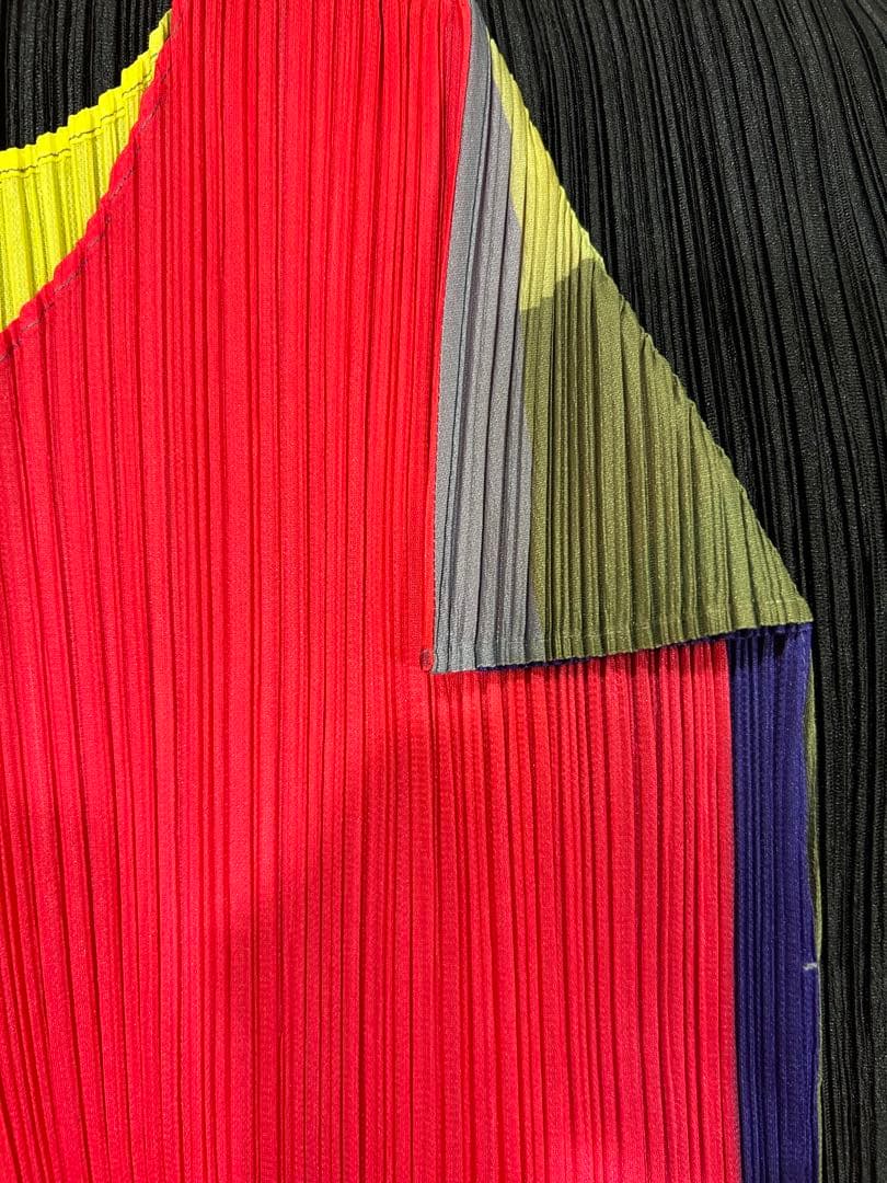 ⭐️本日限定価格⭐️レアなマルチカラープリーツプリーズタグ付き極美品⭐️