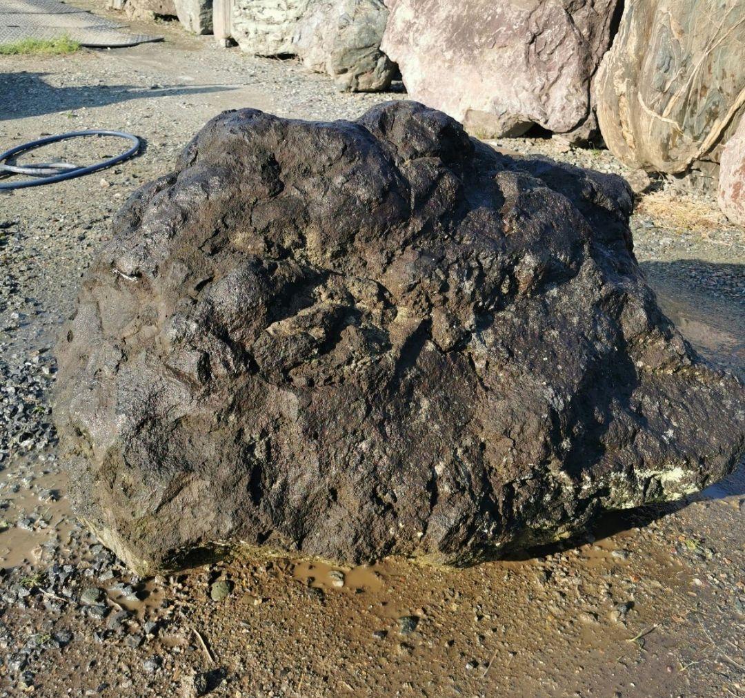 浅間溶岩石　514キロ　庭石　石　石材 庭　坪庭　ガーデニング