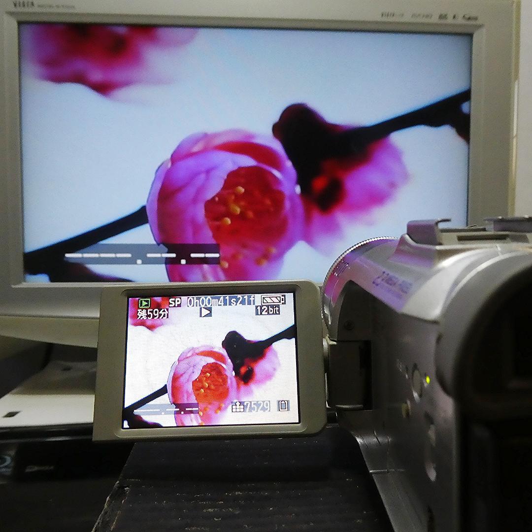 動作良好 パナソニックNV-GS150 MiniDVビデオ DVDダビングに最適