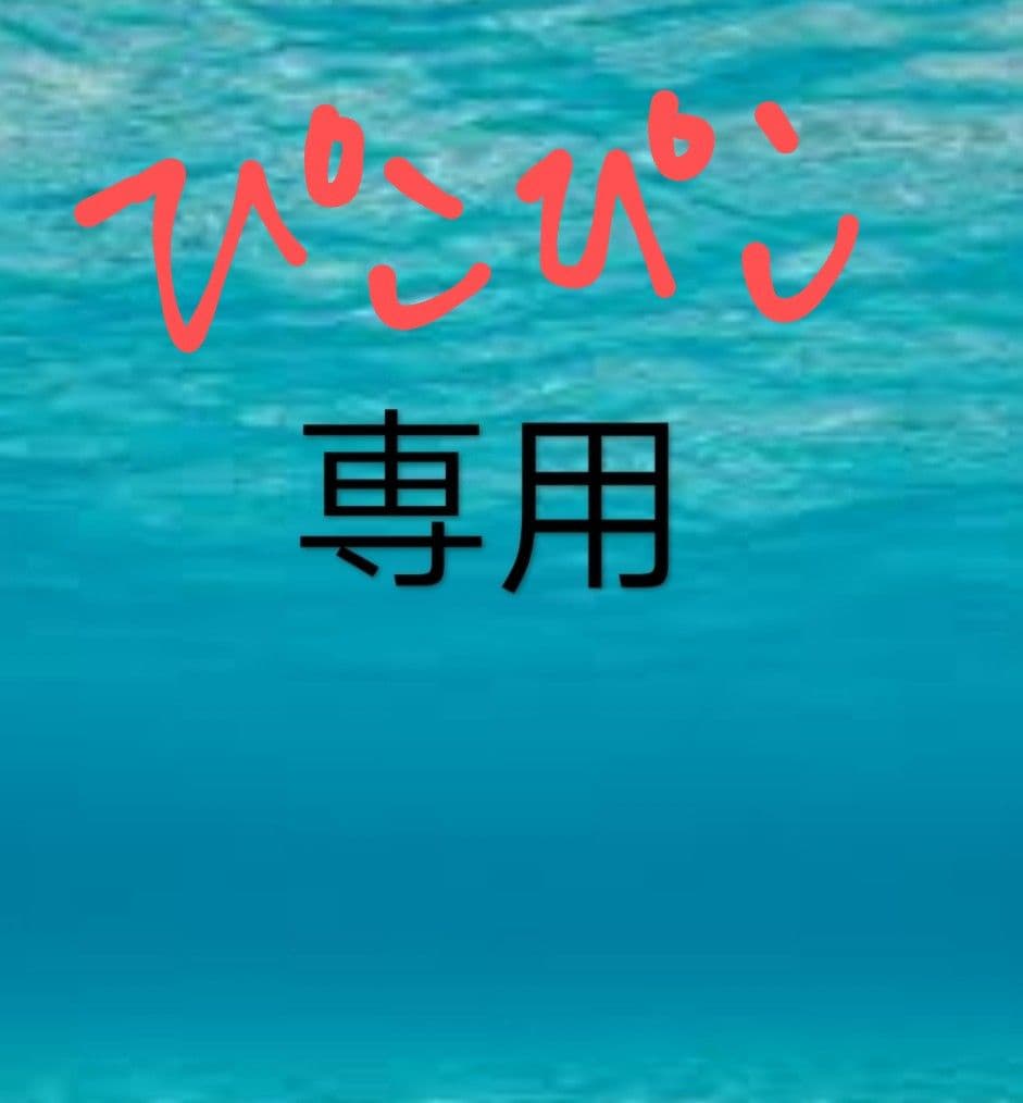 筋子塩２ｋ 貝柱１ｋ ぴこぴこ