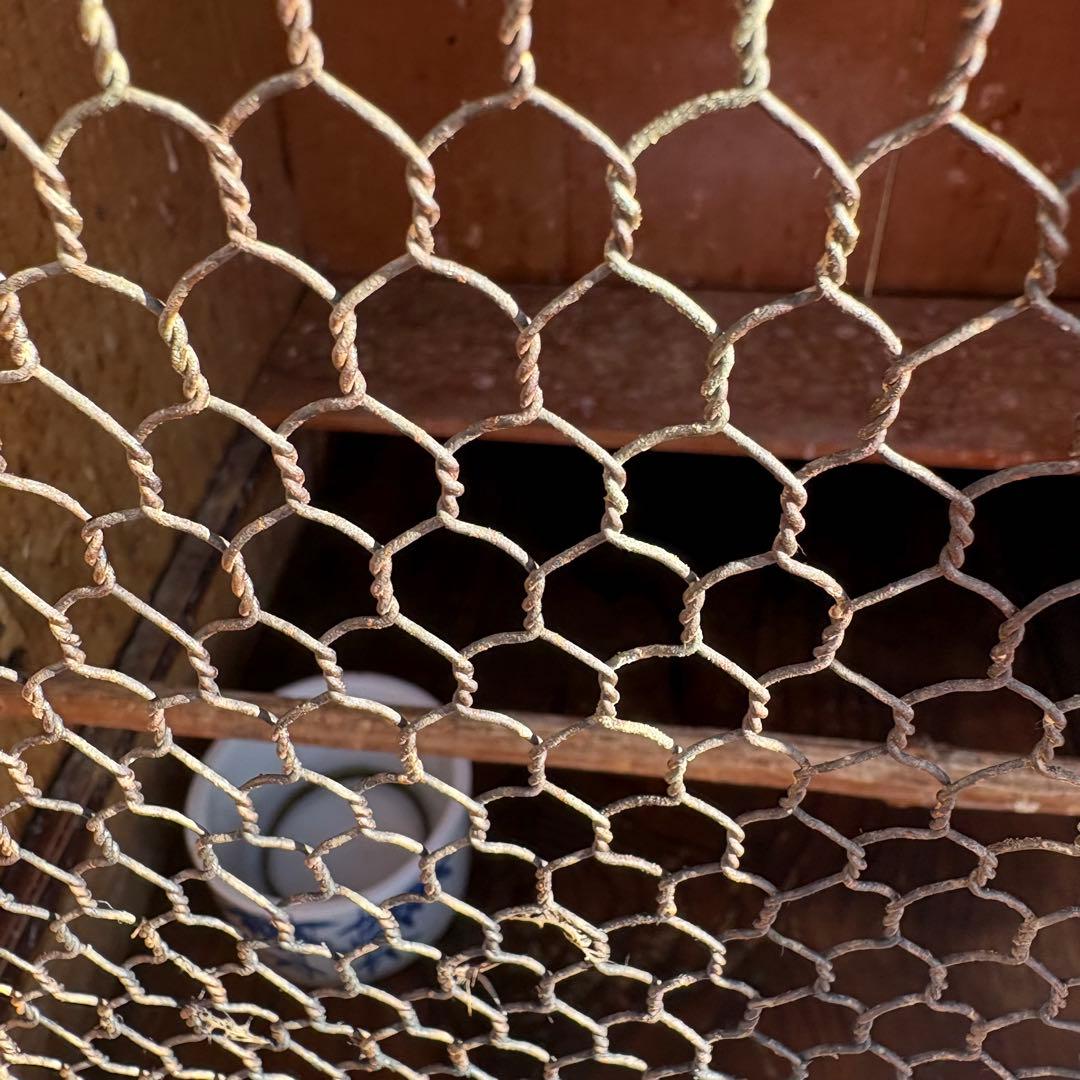昭和レトロ 木製 飼育箱 小動物 小鳥 鳥かご 巣箱 引き出し古道具 めじろ箱