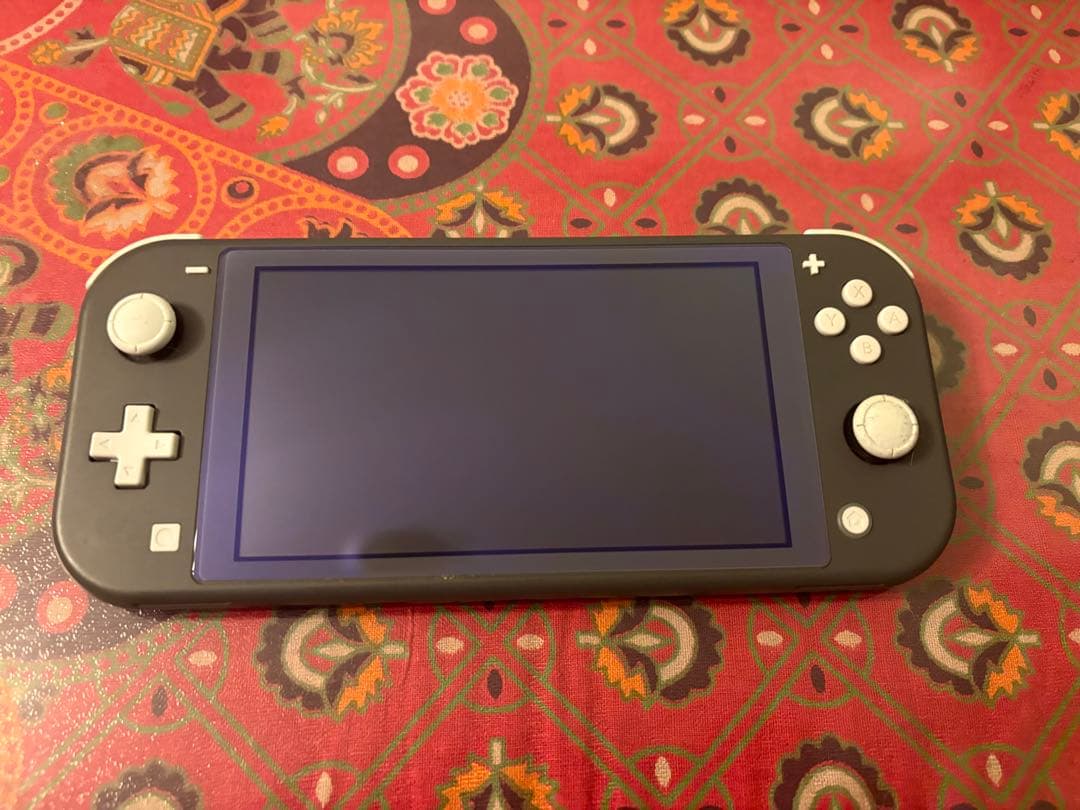 動作品 Nintendo Switch Lite 本体のみ