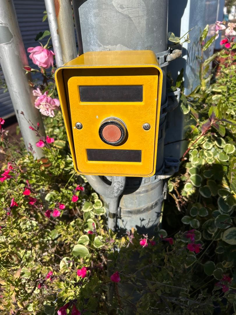 さくらさん専用