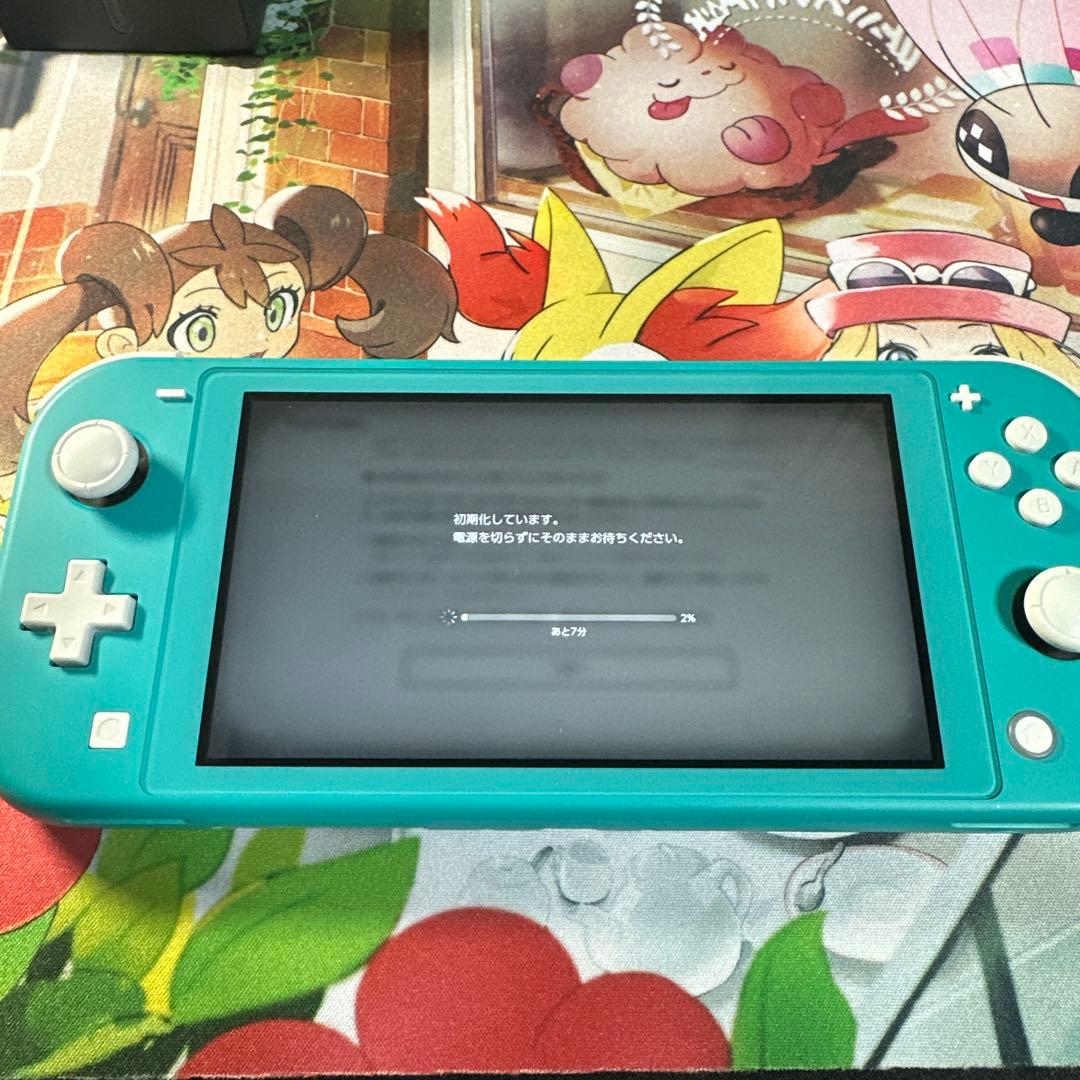 Nintendo Switch Lite 動作確認済み