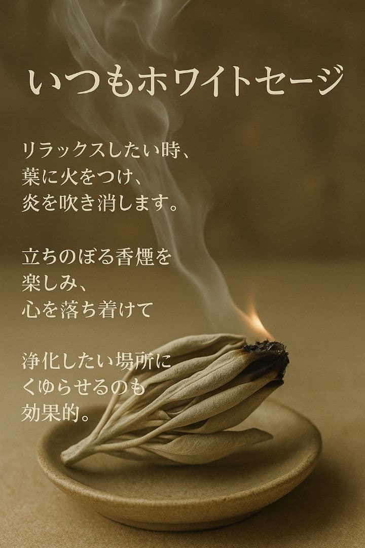 激安価格☆無農薬ホワイトセージ1kg箱入りお香浄化お徳用業務用