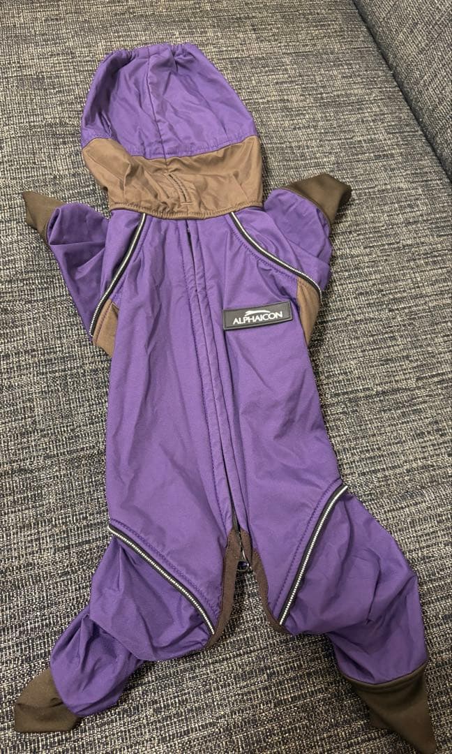 アルファアイコン⭐︎スノードックガード