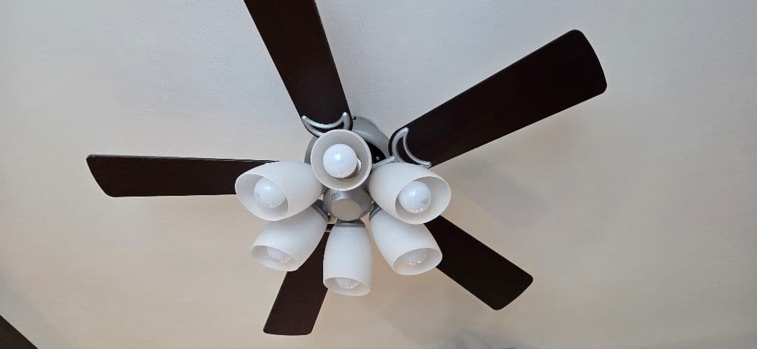 ODELIC　オーデリック　シーリングファンライト 6灯 SH9073LDR