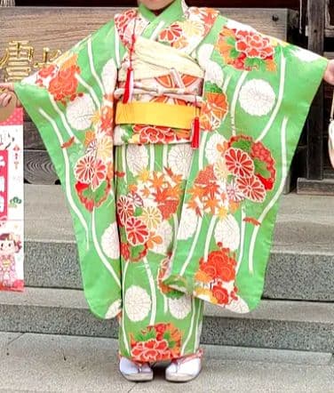 七五三　１２セット 7歳