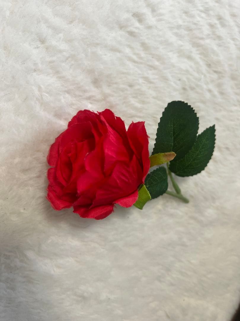 アダルティー 薔薇