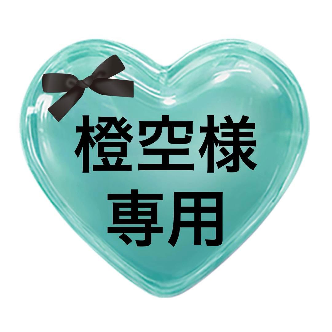 【橙空】　たまごっち　パラダイス　カバー