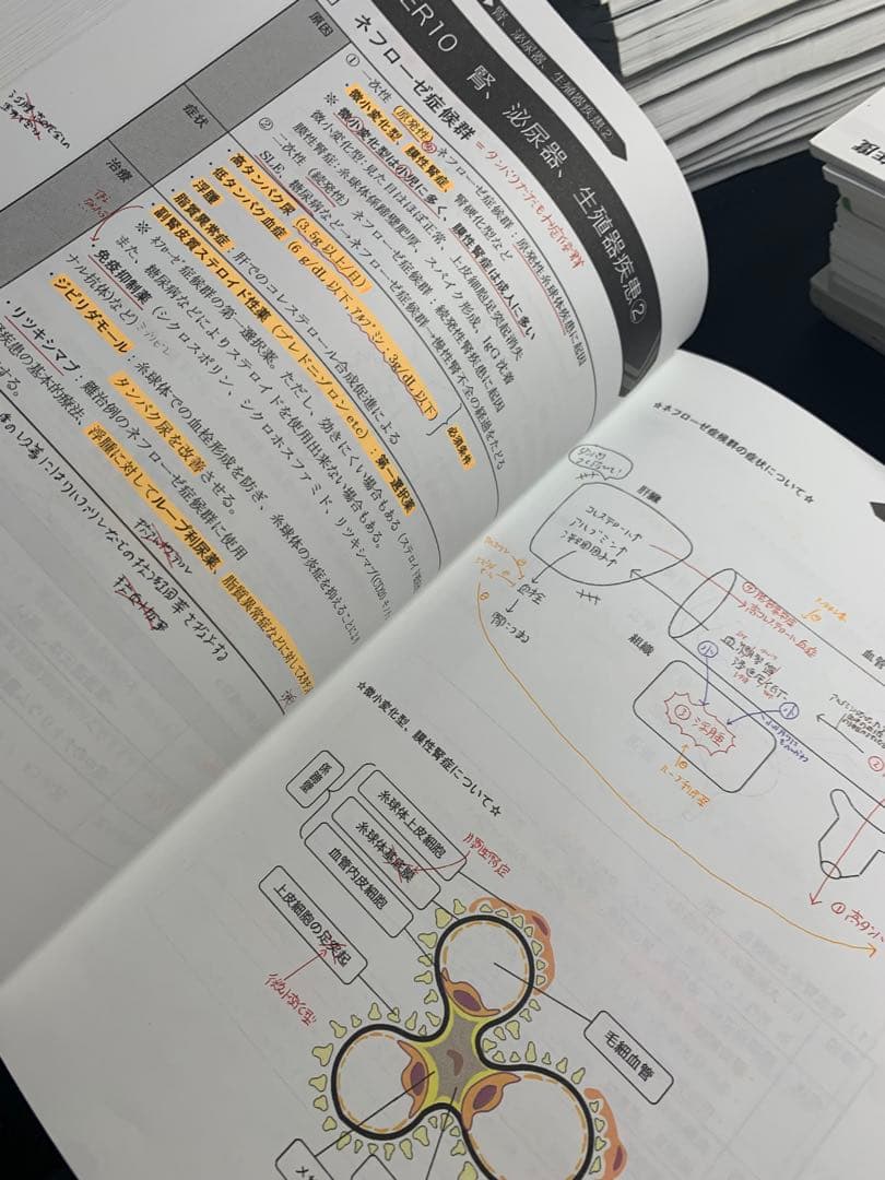 薬剤師国家試験　REC 2024年度版