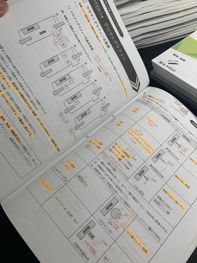 薬剤師国家試験　REC 2024年度版