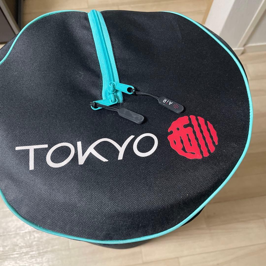 東京西川 エアーポータブル