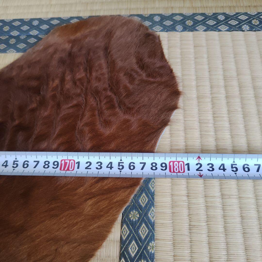 カウラグ 牛毛皮 敷物 絨毯 ラグマット