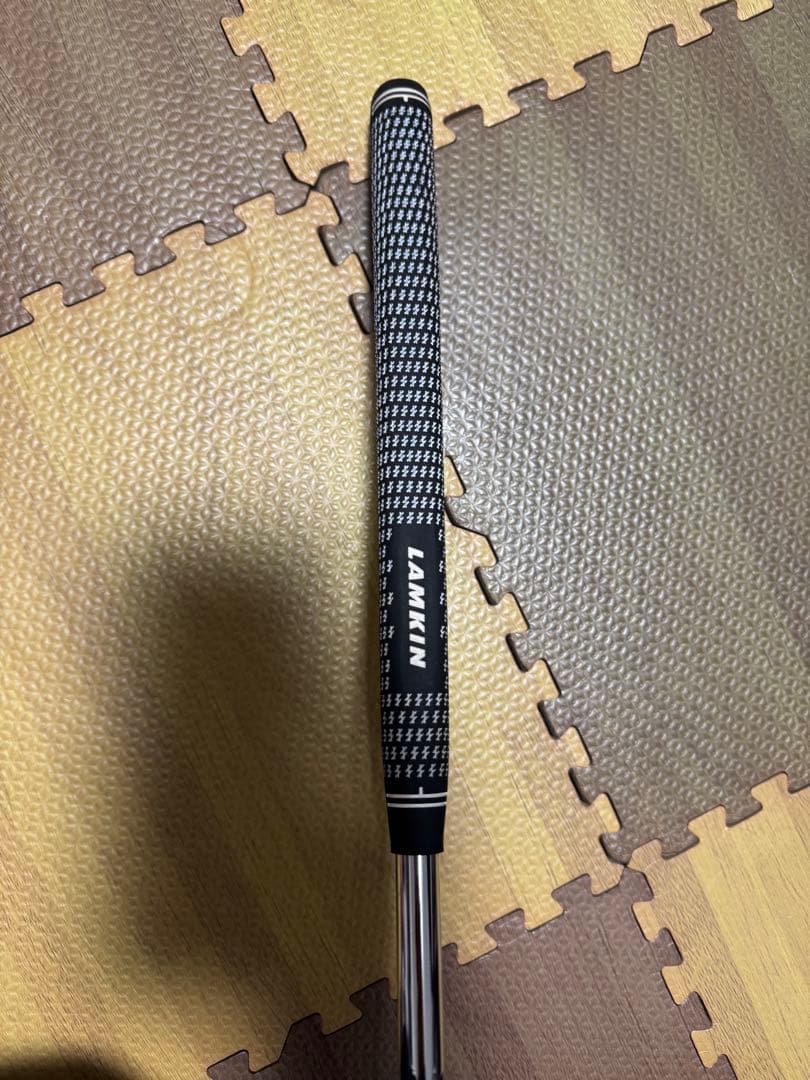 キャメロン2013 GOLO5 TCC