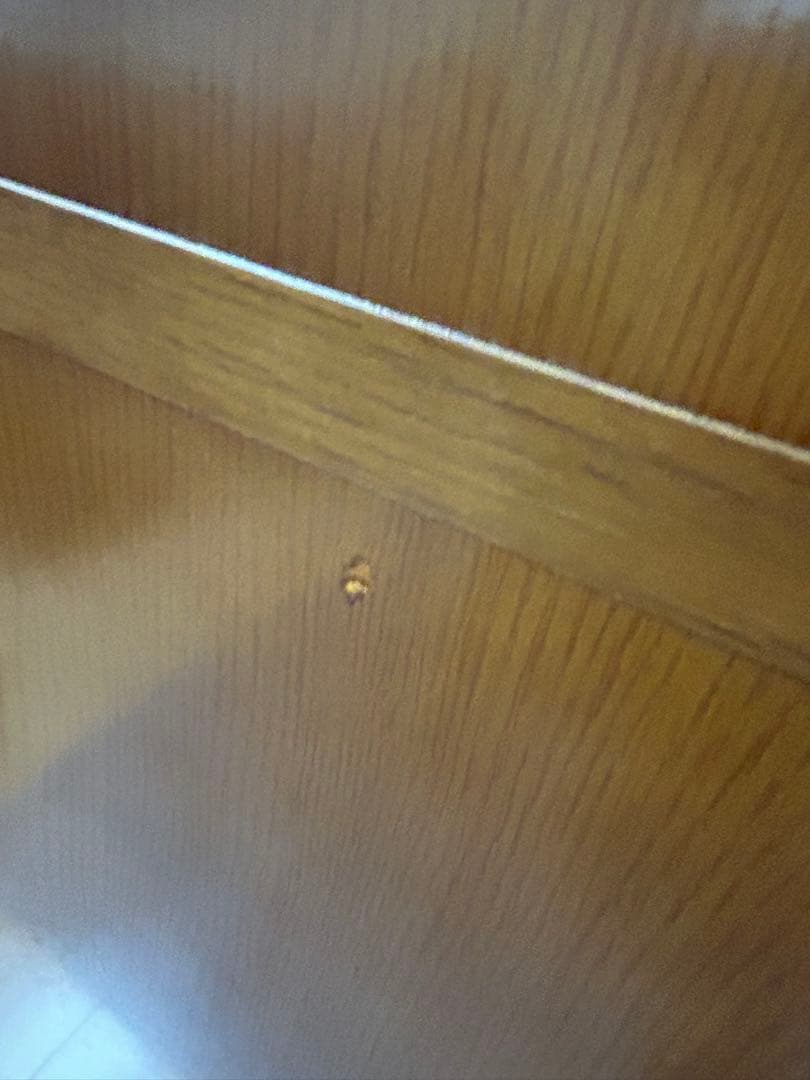 カリモク60 オープントップキャビネット 棚 ダイニング 食器棚