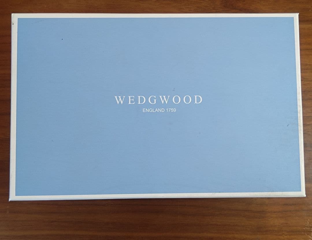 ウェッジウッド　ワンダーラストスモールボウル　茶碗　未使用　箱あり