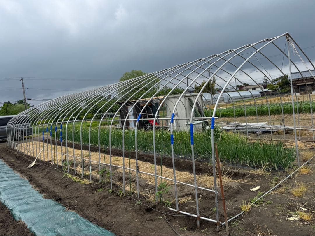 ビニールハウス