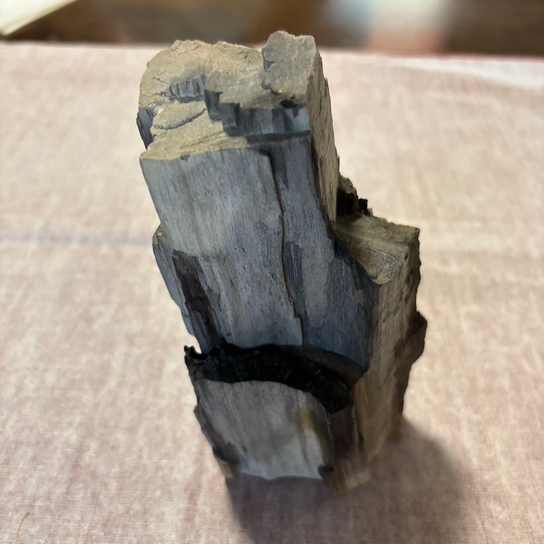 珪化木(鑑賞の水石）