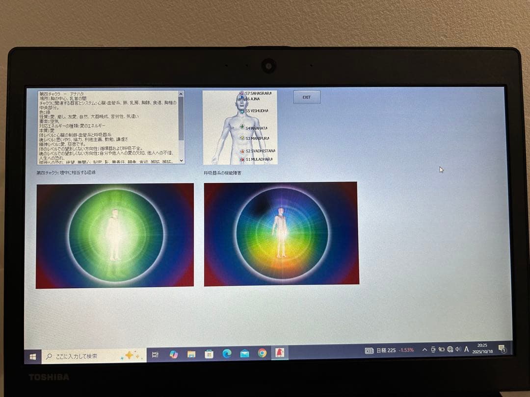 MS　波動測定器　ニュースキャン