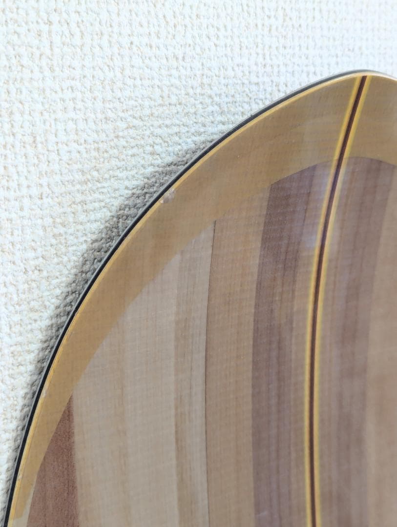 GENTEMSTICK FLOATER 162 19-20 純正ソールカバー付き