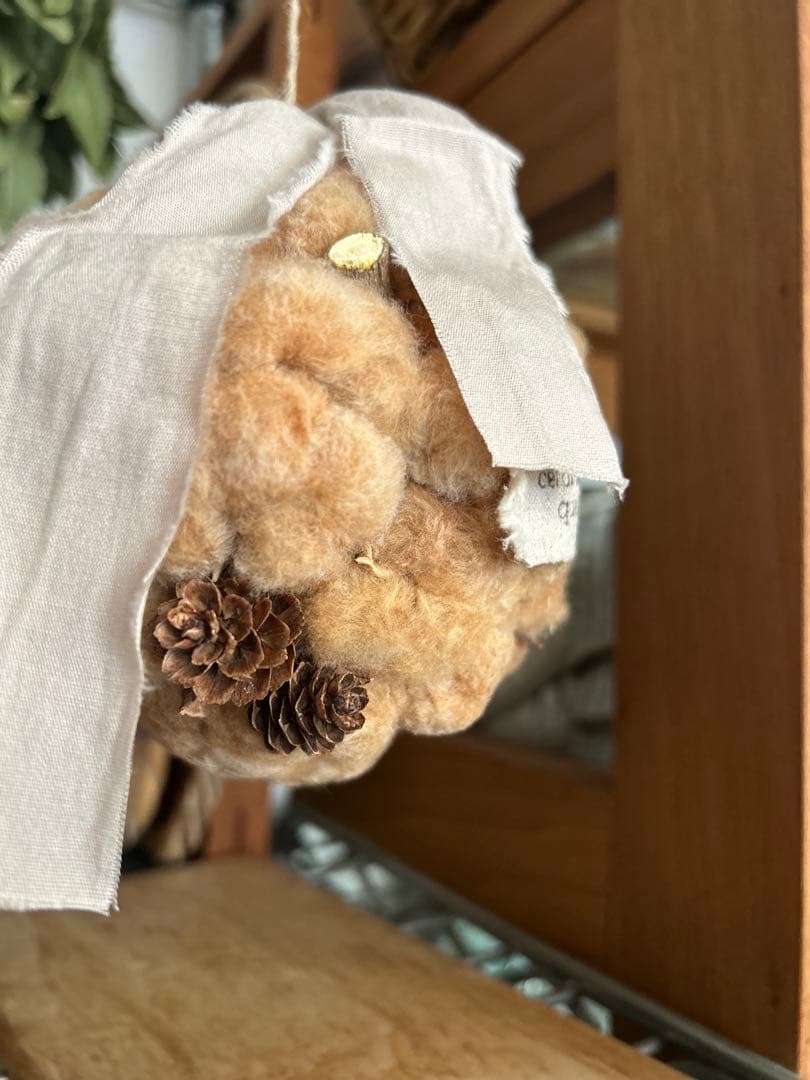 コットンボール•*¨*•.¸♬︎