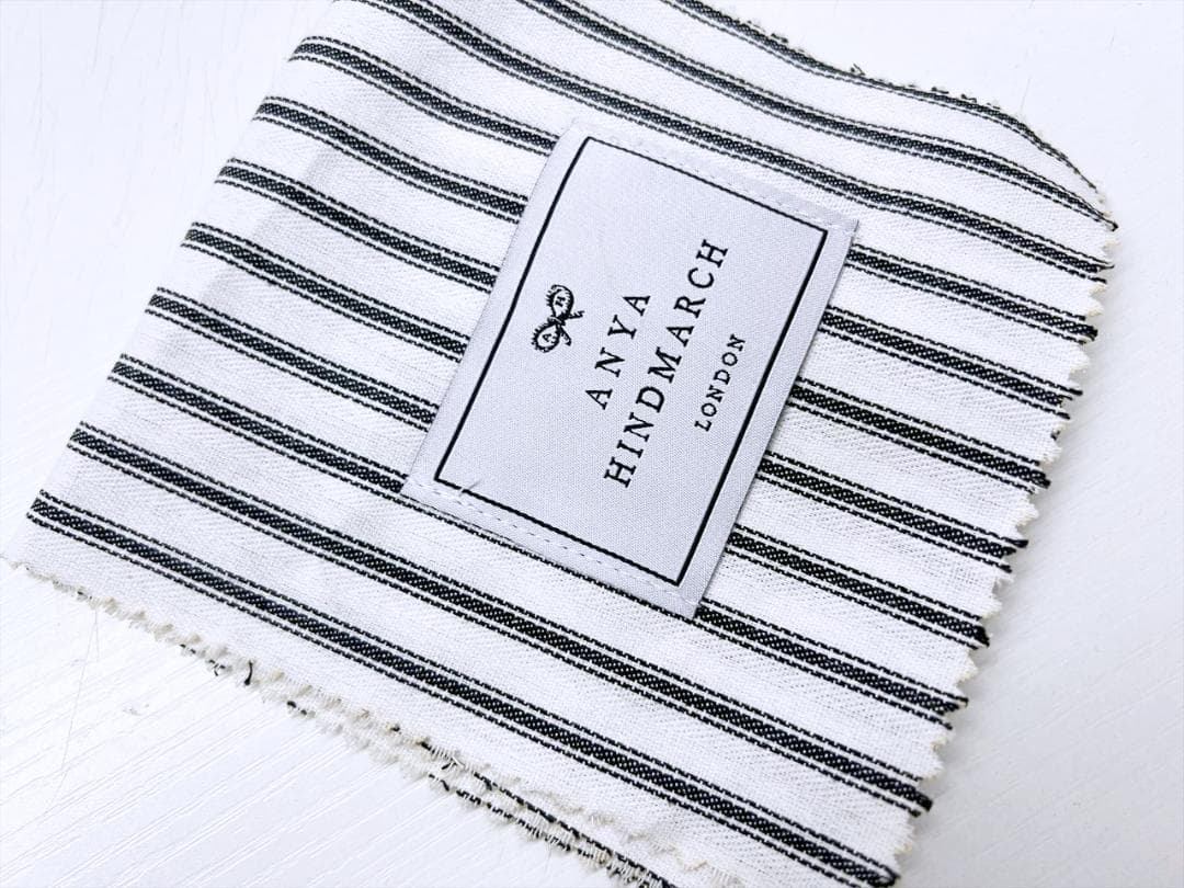 ほぼ未使用　アニヤハインドマーチ　アイズ　イヤホンケース　チャーム　198127