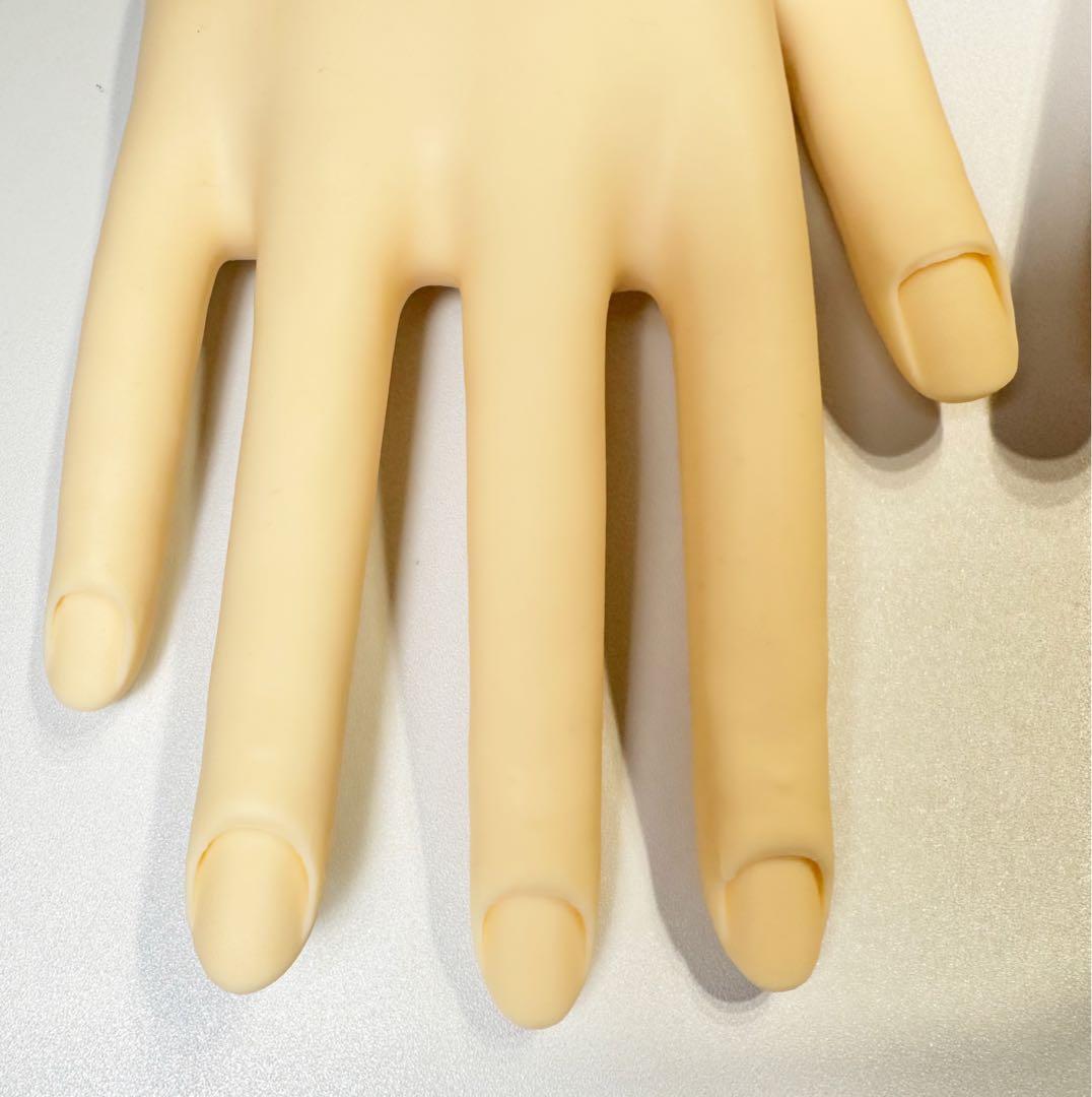 ネイリスト技能検定試験用 JNEC認定モデルハンド　STモデルハンド