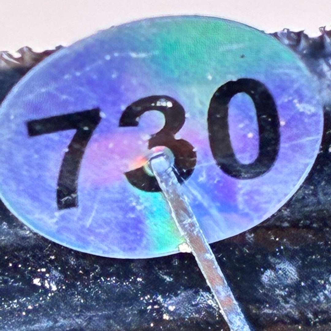 の*ん様 ☘️親株☘️❤️根充実❤️沢山新芽❤️730⭐️多弁⭐️アンティーク⭐