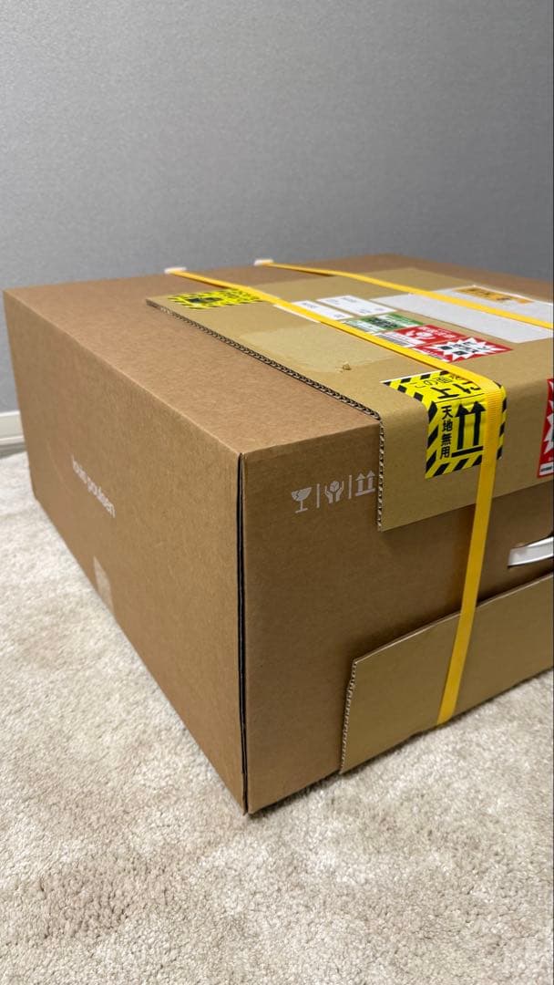 【新品未開封】louis poulsen ルイスポールセンPH5 半年待ち品