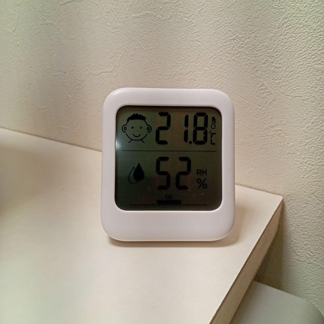 【昨夏(2025)開花しました！】パキポディウム　グラキリス★レア白肌　現地球