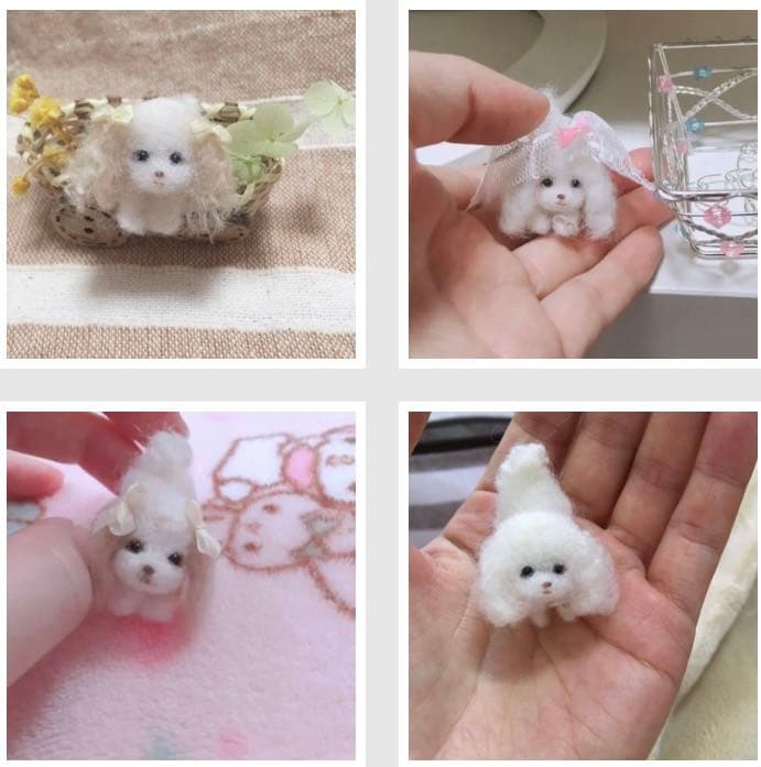 ミニミニトイプーちゃん達✨ご確認用