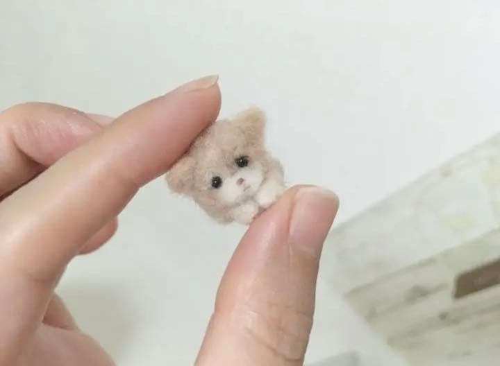 ミニミニトイプーちゃん達✨ご確認用