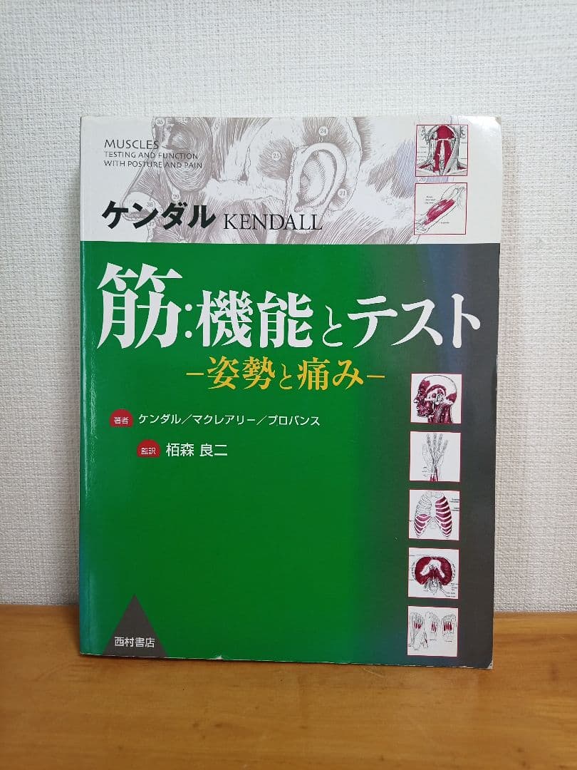 Omochi ケンダル 筋・機能とテスト -姿勢と痛み-