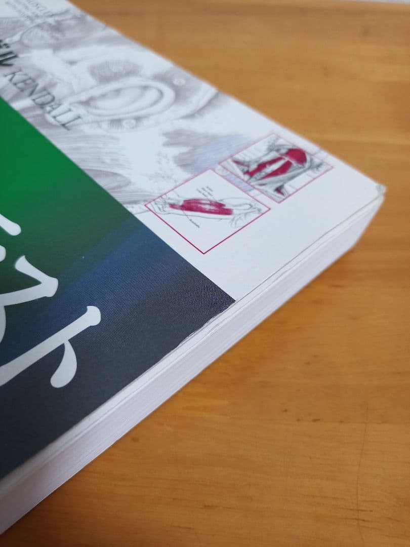 Omochi ケンダル 筋・機能とテスト -姿勢と痛み-