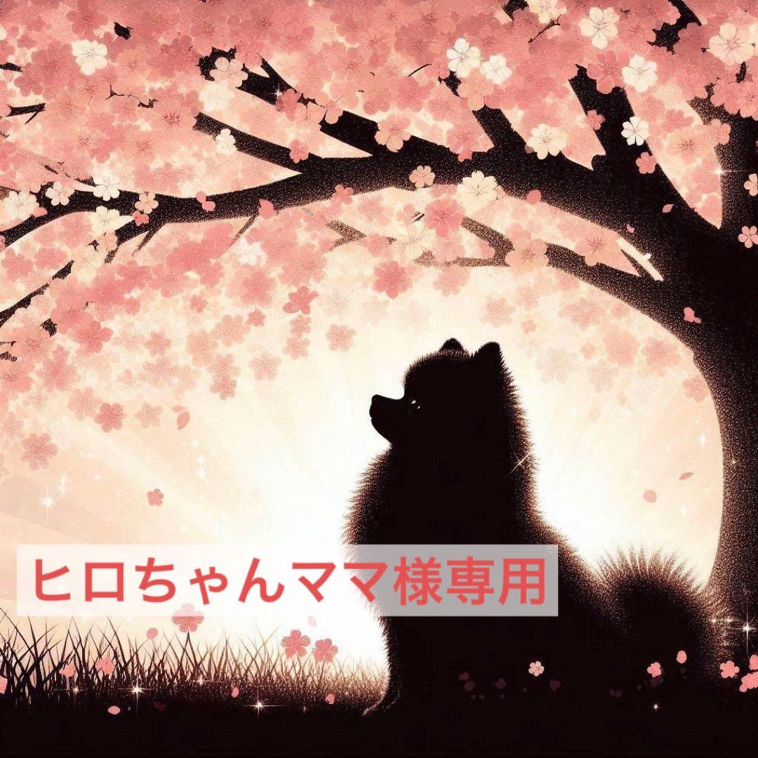 ヒロちゃんママ