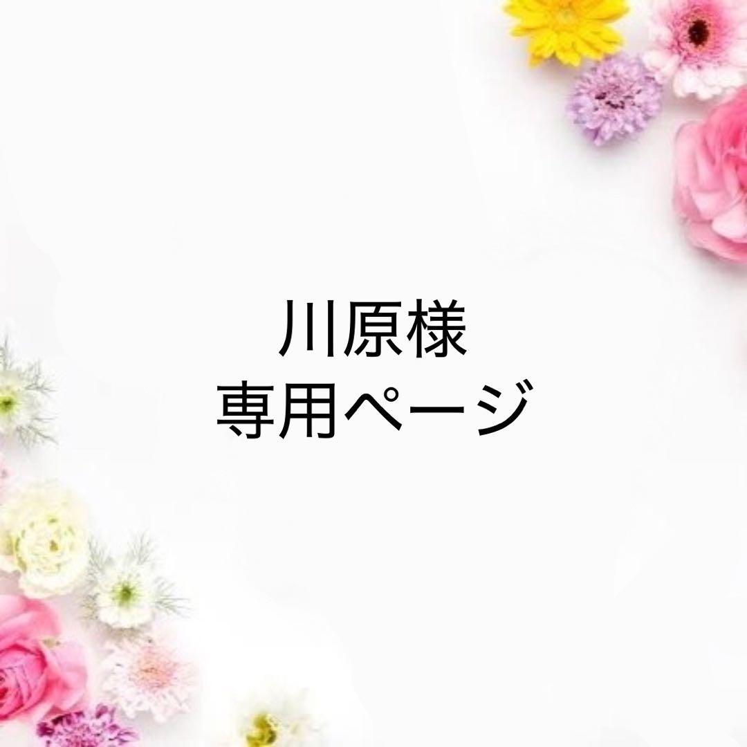 【フェアリーダストビーズ入り】川原　ダイヤモンドアート　オーダーメイド