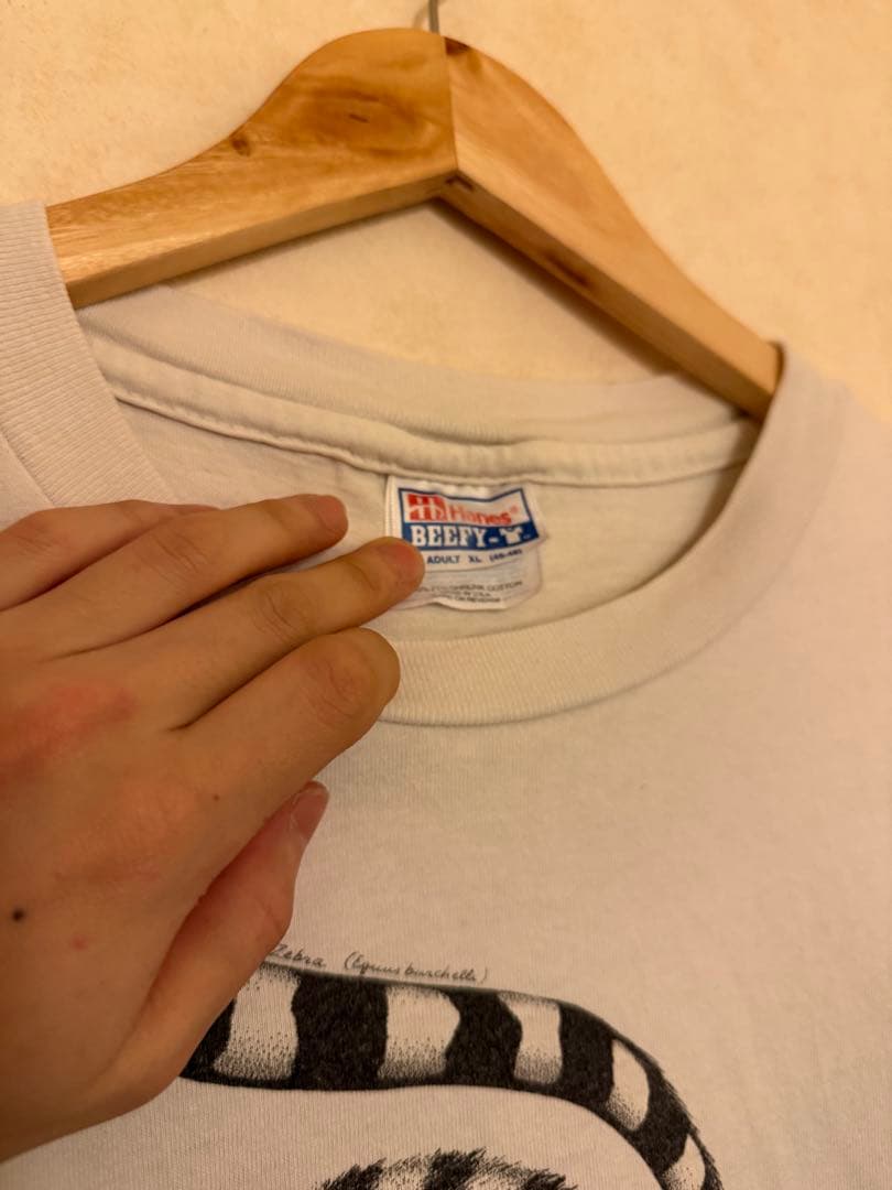 Diana Dee Tyler Tシャツ 90s アート